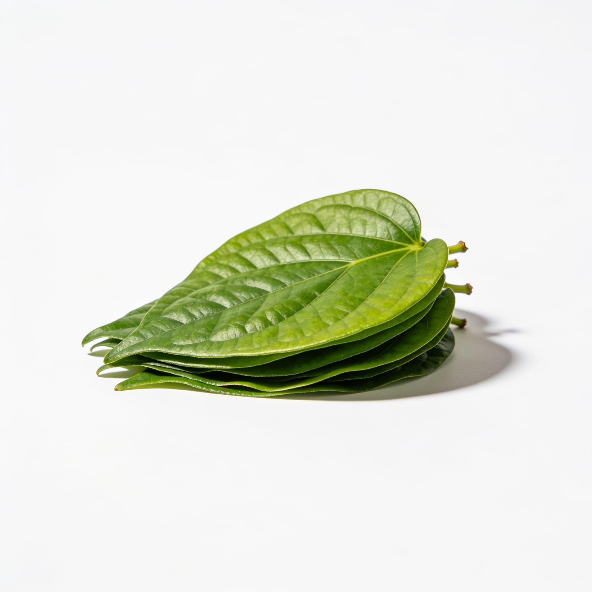 Betel leaves