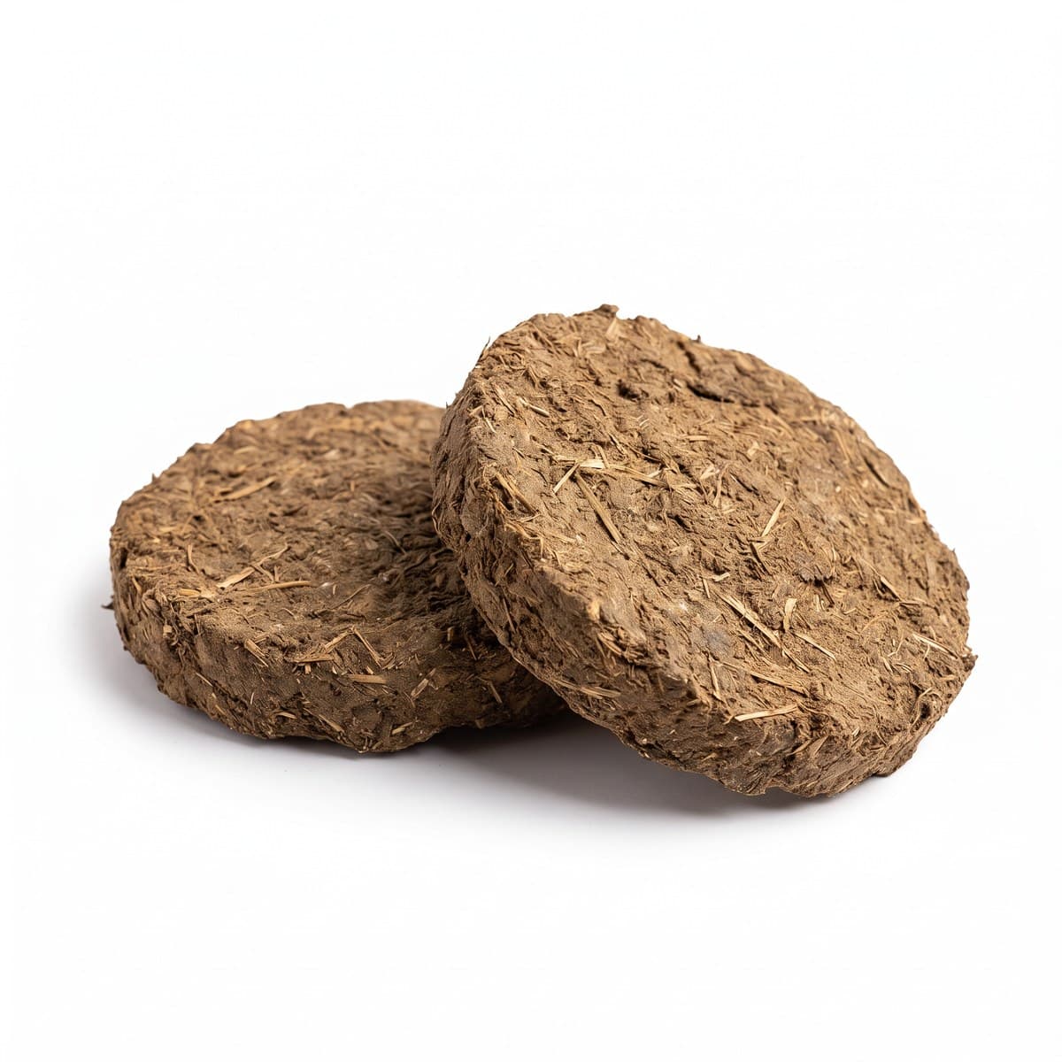 Cow dung cakes